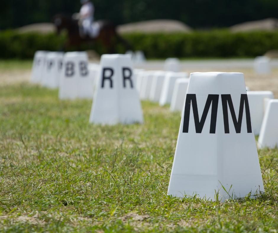 Blog ruiterverschillen