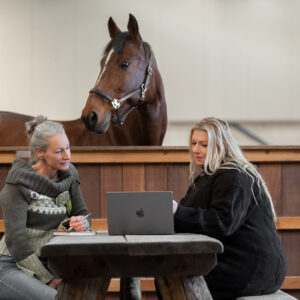 Paardenobservatieprofiel