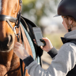 HorseProfile inclusief tweede paardobservatie