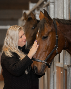 Succesvol jouw droompaard kopen
